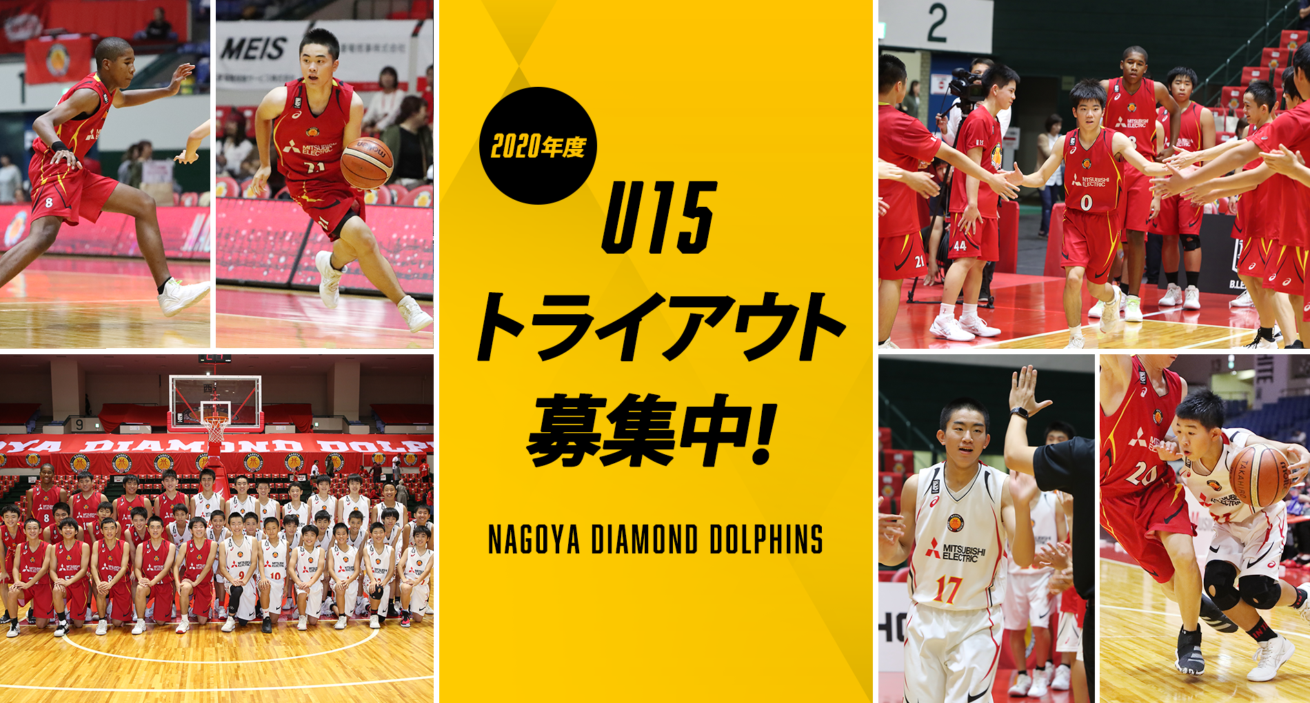 年度 名古屋ダイヤモンドドルフィンズ ｕ15 トライアウト募集開始 名古屋ダイヤモンドドルフィンズ