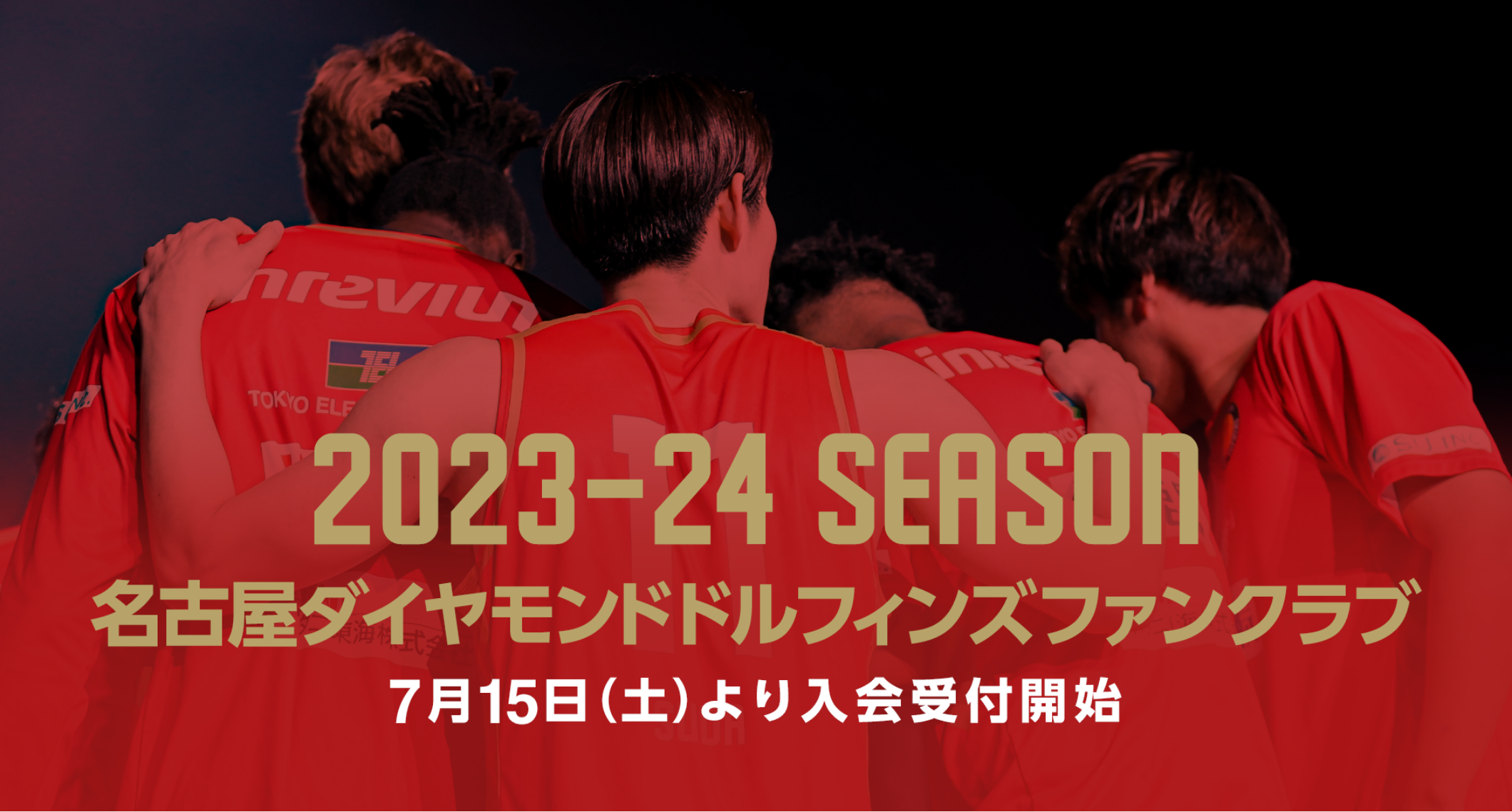 【早い者勝ち！！】名古屋ダイヤモンドドルフィンズ　リバーシブル 試合速報 | 名古屋ダイヤモンドドルフィンズ