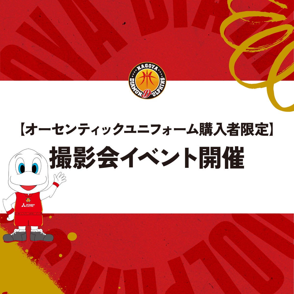 名古屋ダイヤモンドドルフィンズ 2024-25 非売品 シューティングシャツ 名古屋ダイヤモンドドルフィンズ 2024-25 非売品 シューティング