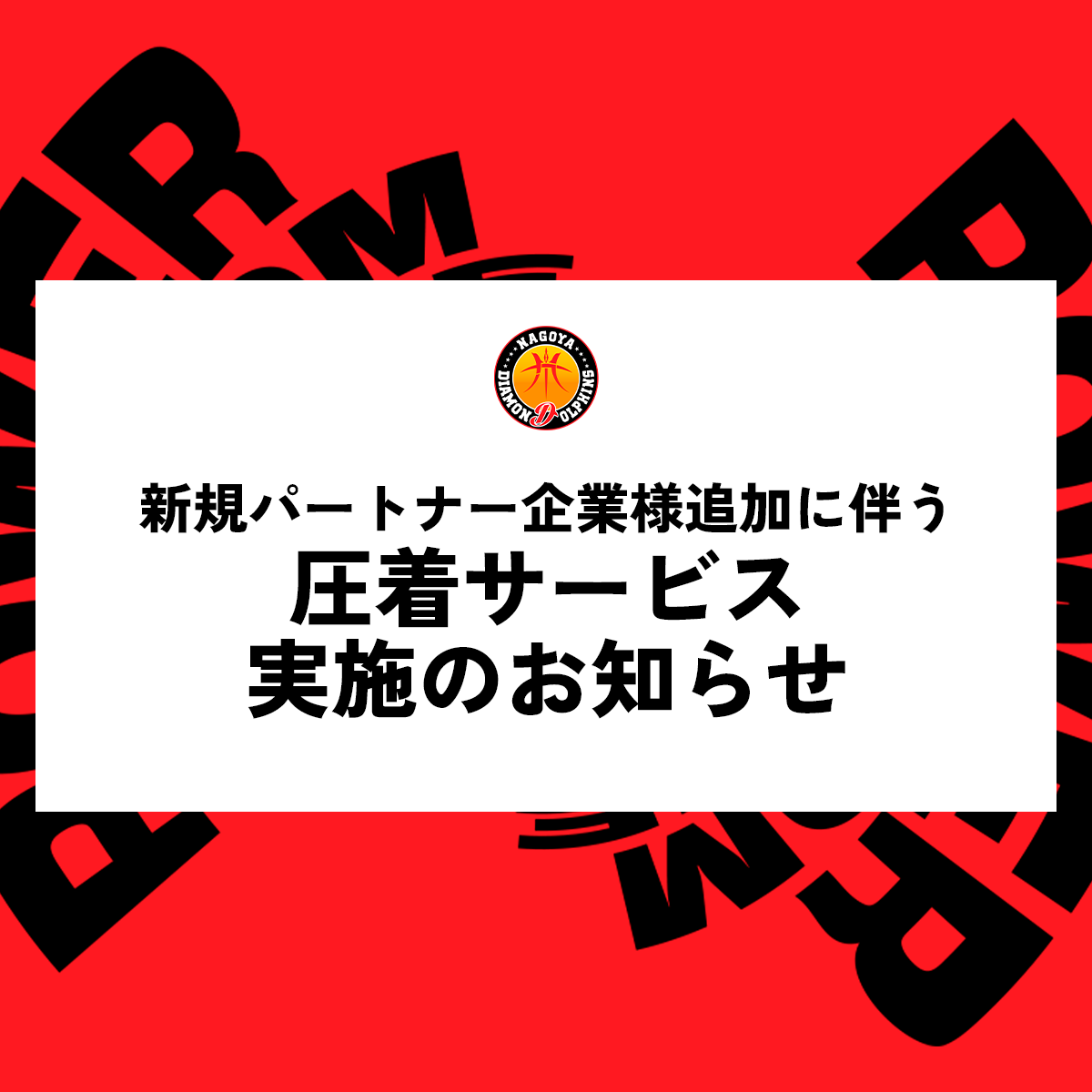 非売品　ジャケット　プレミアム会員特典　名古屋ダイヤモンドドルフィンズ 2024-25シーズン 【第1期】チケット販売のお知らせ | 名古屋